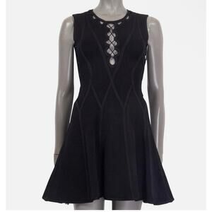 Hervé Léger by Max Azria Black Bandage Fit & Flare Dress – XXS